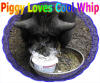 PIGGY LOVES COOL WHIP!  Actually, Piggy loves most everything!